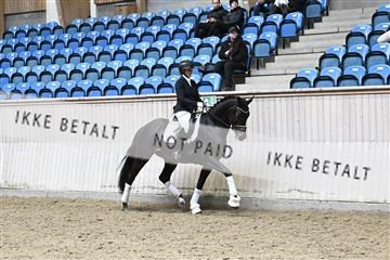 182241_kbb_01_Z095050.JPG