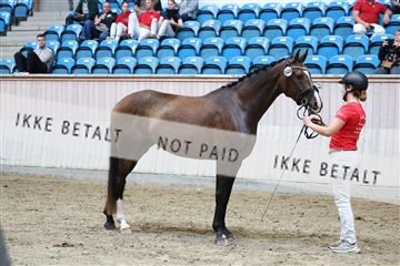 181887_mtp_03_R62_7967.JPG