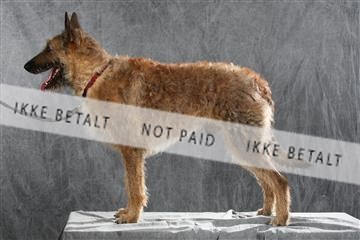 128239_le_ 04_0020.JPG