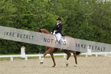 139835_sg_01_IMG_8054.JPG