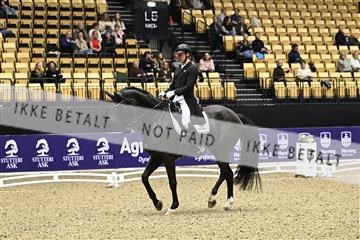 182194_kbb_03_Z090073.JPG