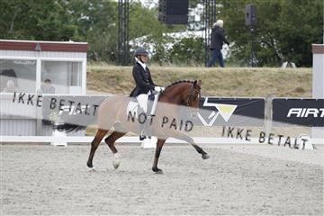 166078_rhj_01__J7R3303.JPG