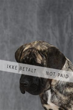 130054_le_ 03_0159.JPG