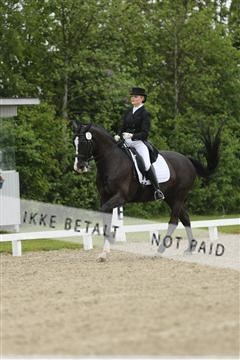 139835_sg_02_IMG_8603.JPG