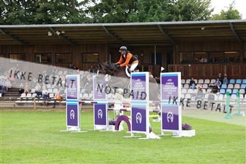 181805_mlm_01_R62_4459.JPG