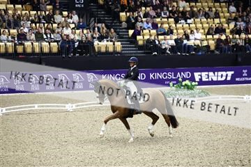182194_avh_05_2941.JPG