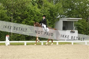 139835_sg_01_IMG_7358.JPG