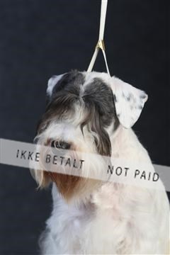 132082_le_ 01_IMG_0345.JPG