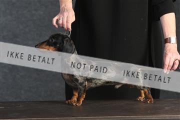 132082_le_ 01_IMG_0165.JPG