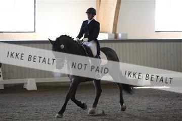 139267_kl_1_8M1Q6947.JPG