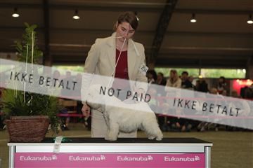 126168_se_02_IMG_0474.JPG