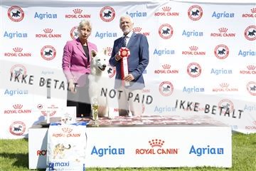 181564_ch_01__62_8958.JPG