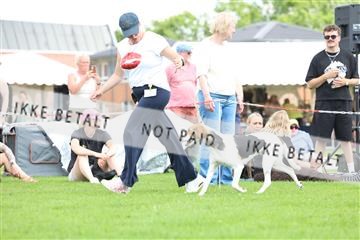 181564_rin_01_R62_8970.JPG
