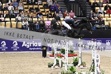 182194_kbb_02_Z099538.JPG