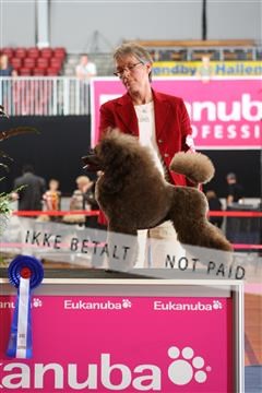 6068_ma_07_IMG_7123.JPG