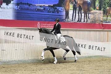 182241_kbb_01_Z094193.JPG