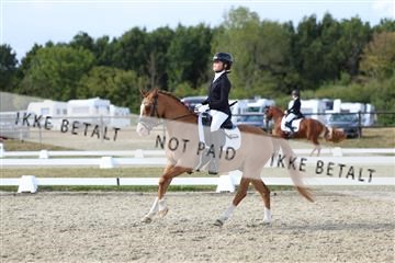 181894_mtp_05_R62_5037.JPG