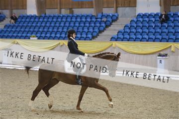 139403_ms_01__MS17947.JPG
