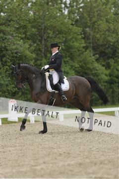 139835_sg_02_IMG_8685.JPG