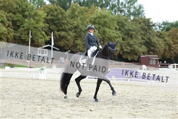 181923_mtp_01_R62_6956.JPG