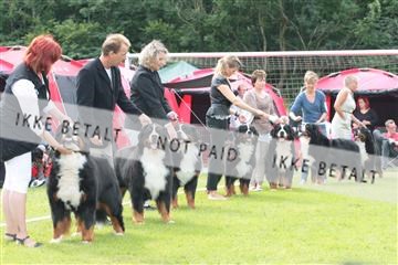 130370_tl_02_IMG_7727.JPG