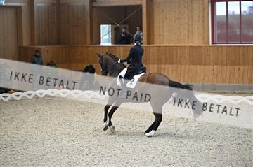 182176_kbb_01_Z093837.JPG