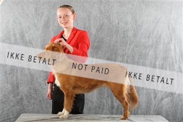 129608_le_ 02_0371.JPG