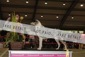 126168_tl_02_IMG_0253.JPG