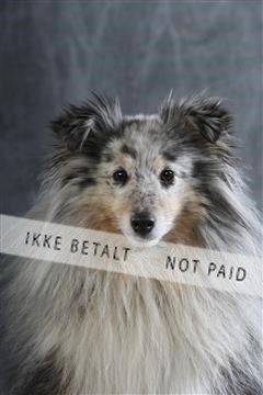 129608_le_ 01_0588.JPG