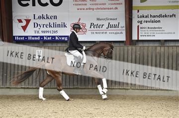 175222_tbj_01__D4S1719.JPG