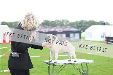 182009_rin_02_R62_3266.JPG