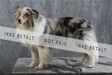 129608_le_ 01_0892.JPG