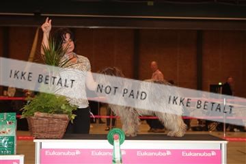 124188 _tl_02_IMG_9302.JPG