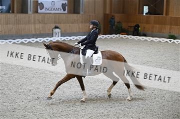 182176_kbb_01_Z093207.JPG