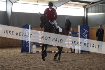 139206_kl_1_8M1Q5174.JPG