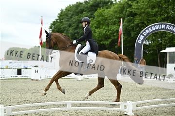 181449_kbb_03_Z091941.JPG