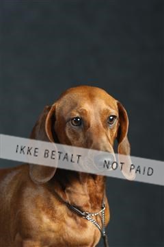 132082_le_ 01_IMG_0314.JPG