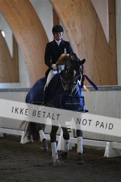 139267_kl_1_8M1Q6738.JPG
