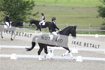 172030_mtp_01_3M5A1611.JPG
