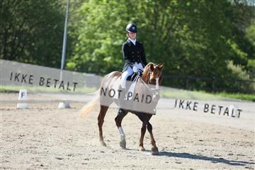 168732_mtp_01_3M5A6108.JPG