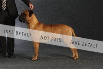 132082_le_ 01_IMG_1606.JPG