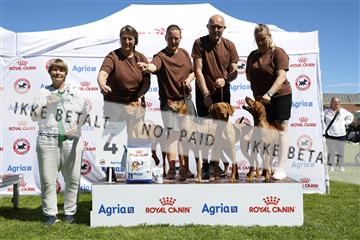 181564_ch_01__62_8814.JPG