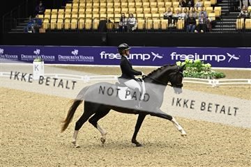 182194_kbb_03_Z091070.JPG