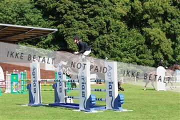 181805_mlm_02_R62_6474.JPG