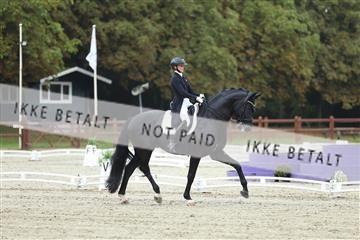 181923_mtp_03_R62_7660.JPG