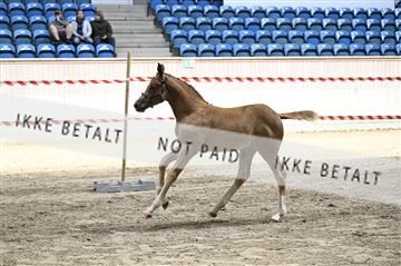 181754_kbb_01_Z092637.JPG