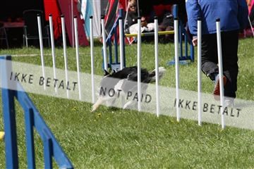 134871_ms_02_IMG_3080.JPG