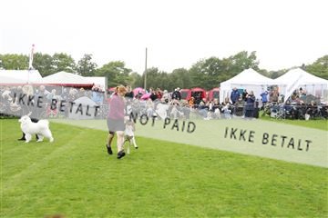 182009_kar_01__62_5308.JPG