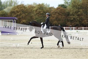 181923_mtp_03_R62_7455.JPG