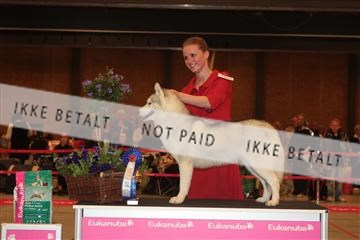 124188 _tl_02_IMG_9210.JPG